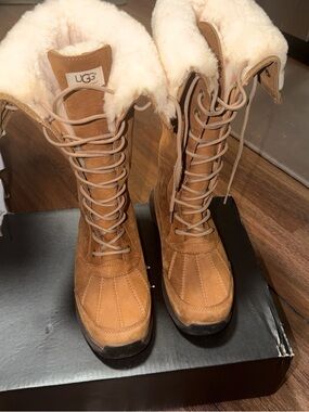 UGG Australia Adirondack III Chestnut Waterproof Sheep Wool Boots 1017434 Sz 12